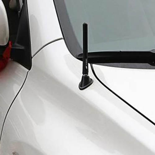 Car Antenna Molding