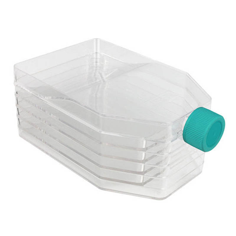 Plastic Cell Culture Flasks Molding