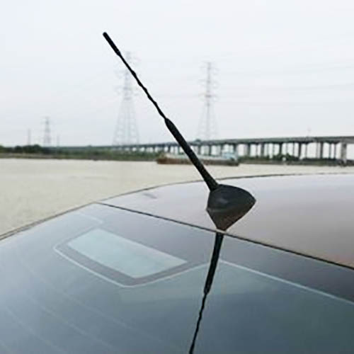 Car Antenna Molding