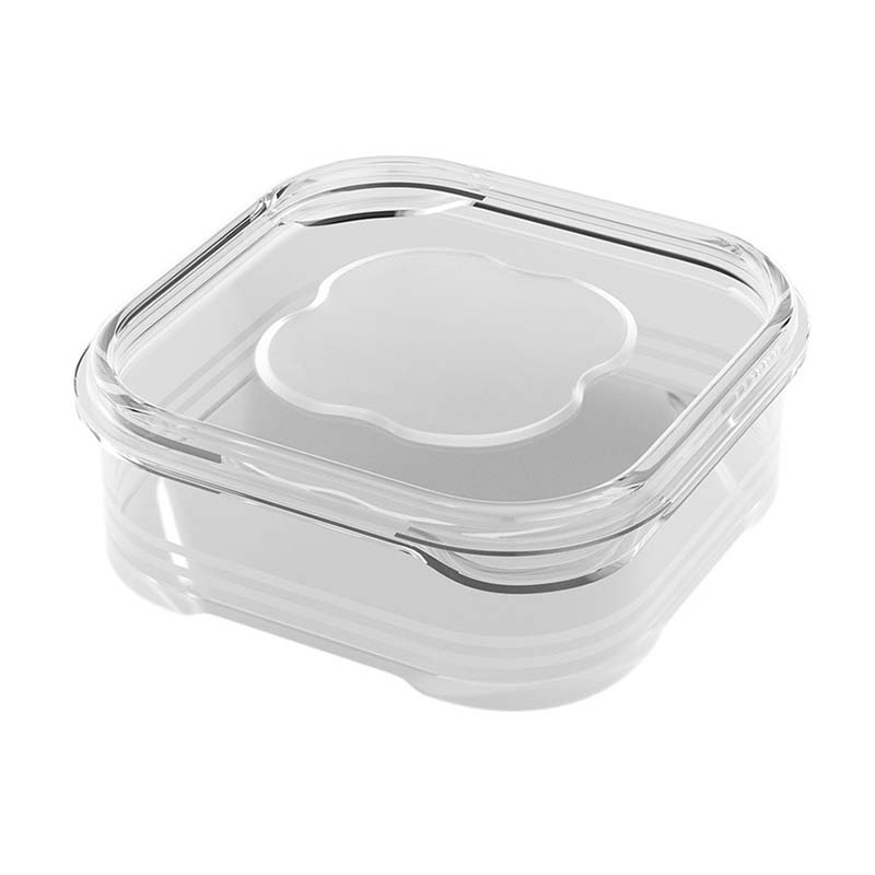 Storage Box Mold