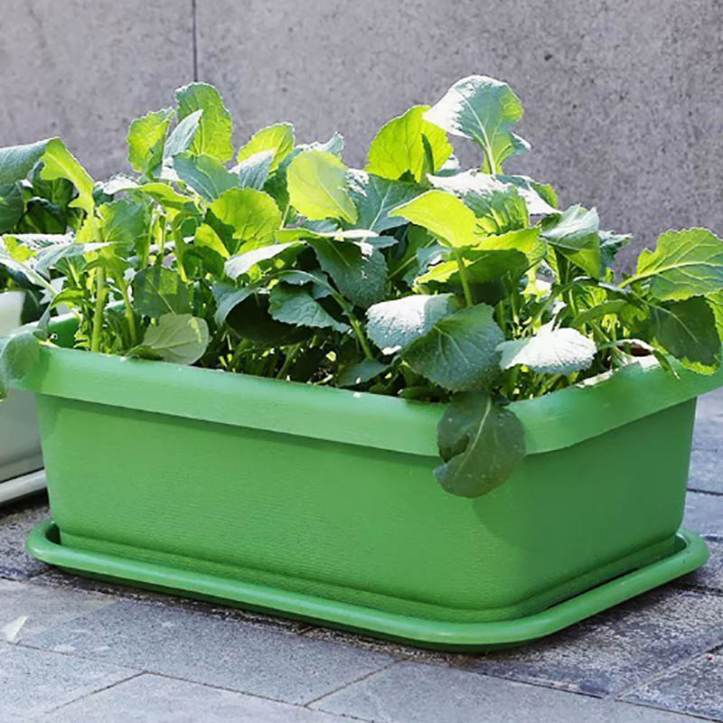Planter Box molding