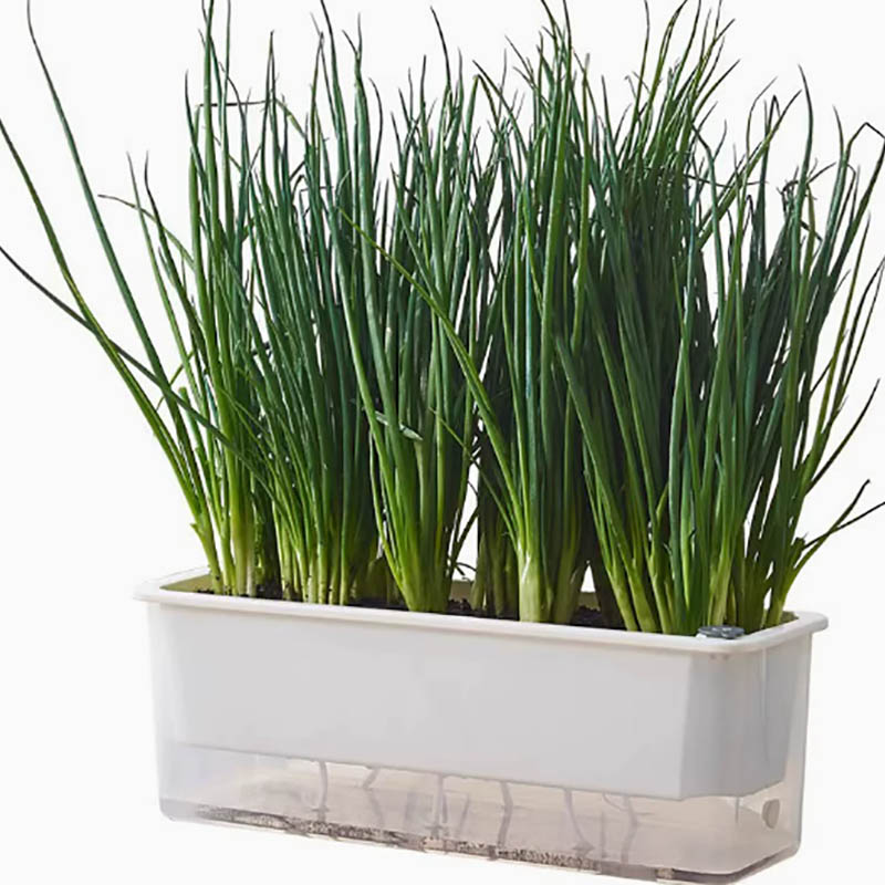 Planter Box molding