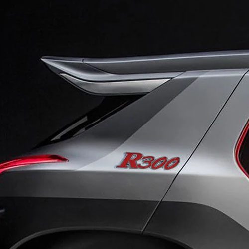 Car Logo Molding