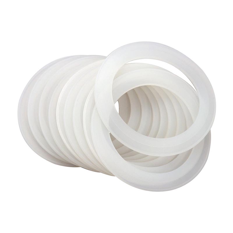 Plastic Gaskets Molding