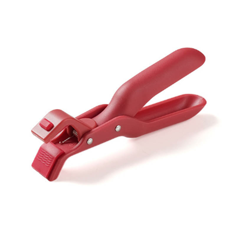 Preparation and Conditioning Molding