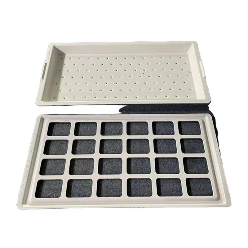 Tray Mould Molding