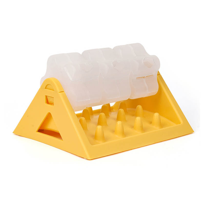 Pet Treat Dispensers Molding