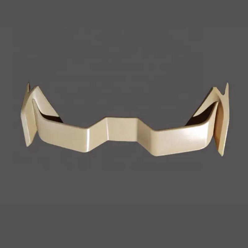Plastic Car Tail Wing Moulding
