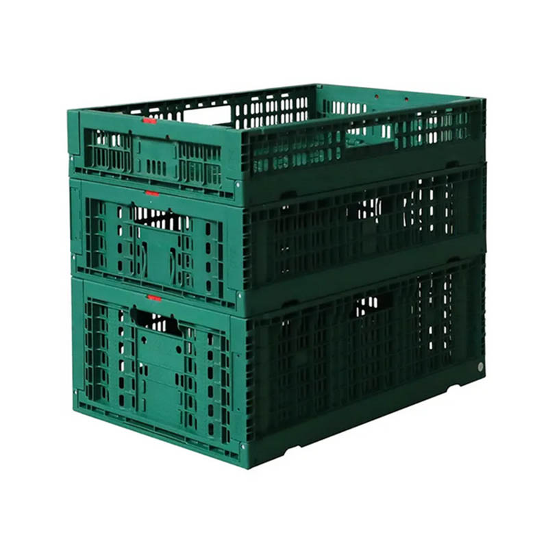 Transport Cage Accessories Mold