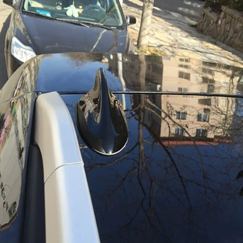 Car Antenna Molding