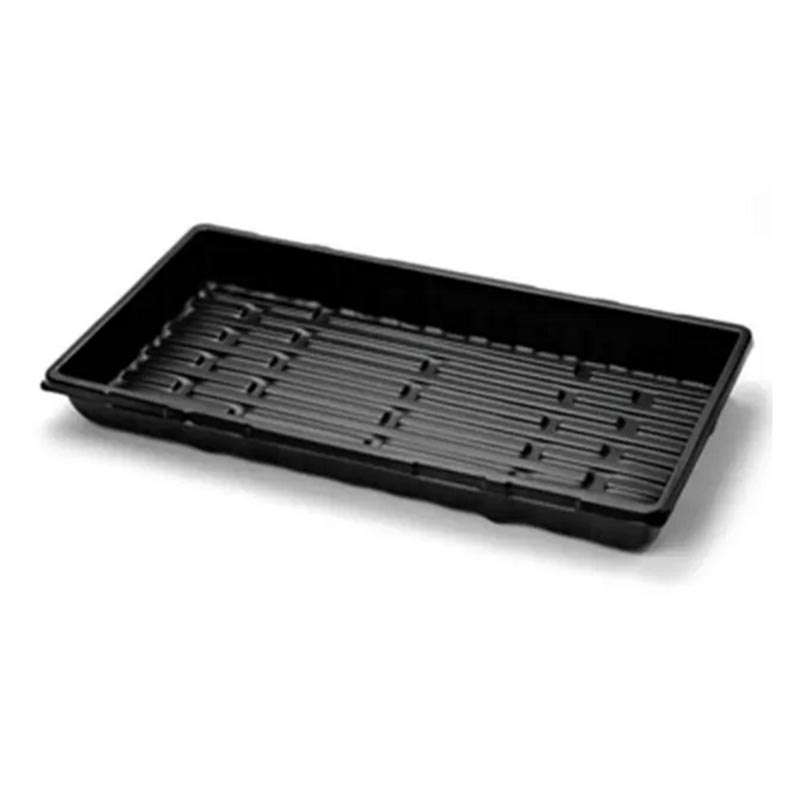 Tray Mould Molding