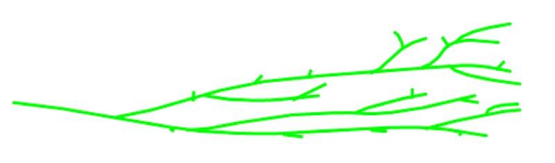 Low Density Polyethylene molecular chain