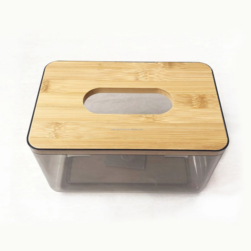 Tissue Box Molding