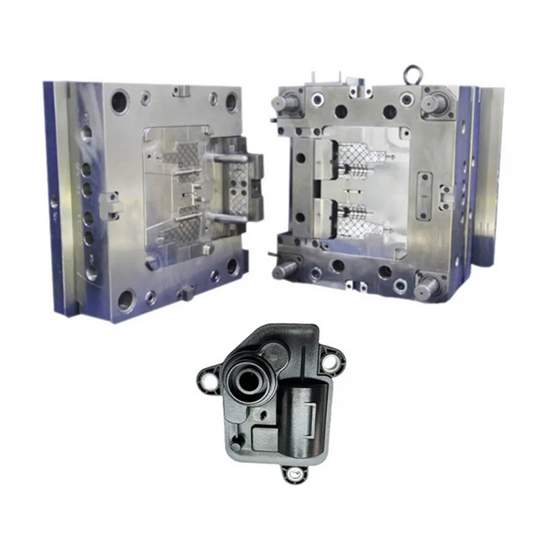 Plastic Buckle Molding
