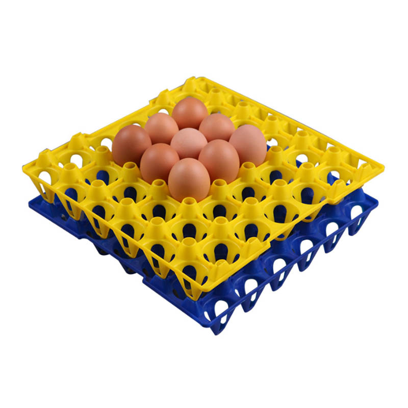 Plastic Egg Tray Molding